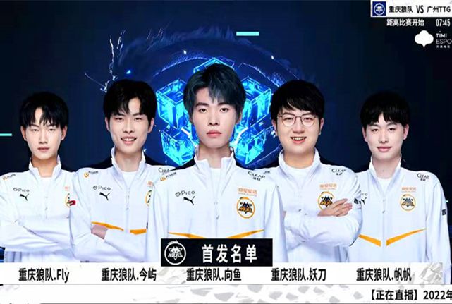 个项目在全
